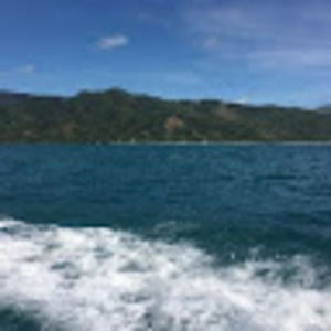 Meet your Posher, Iris